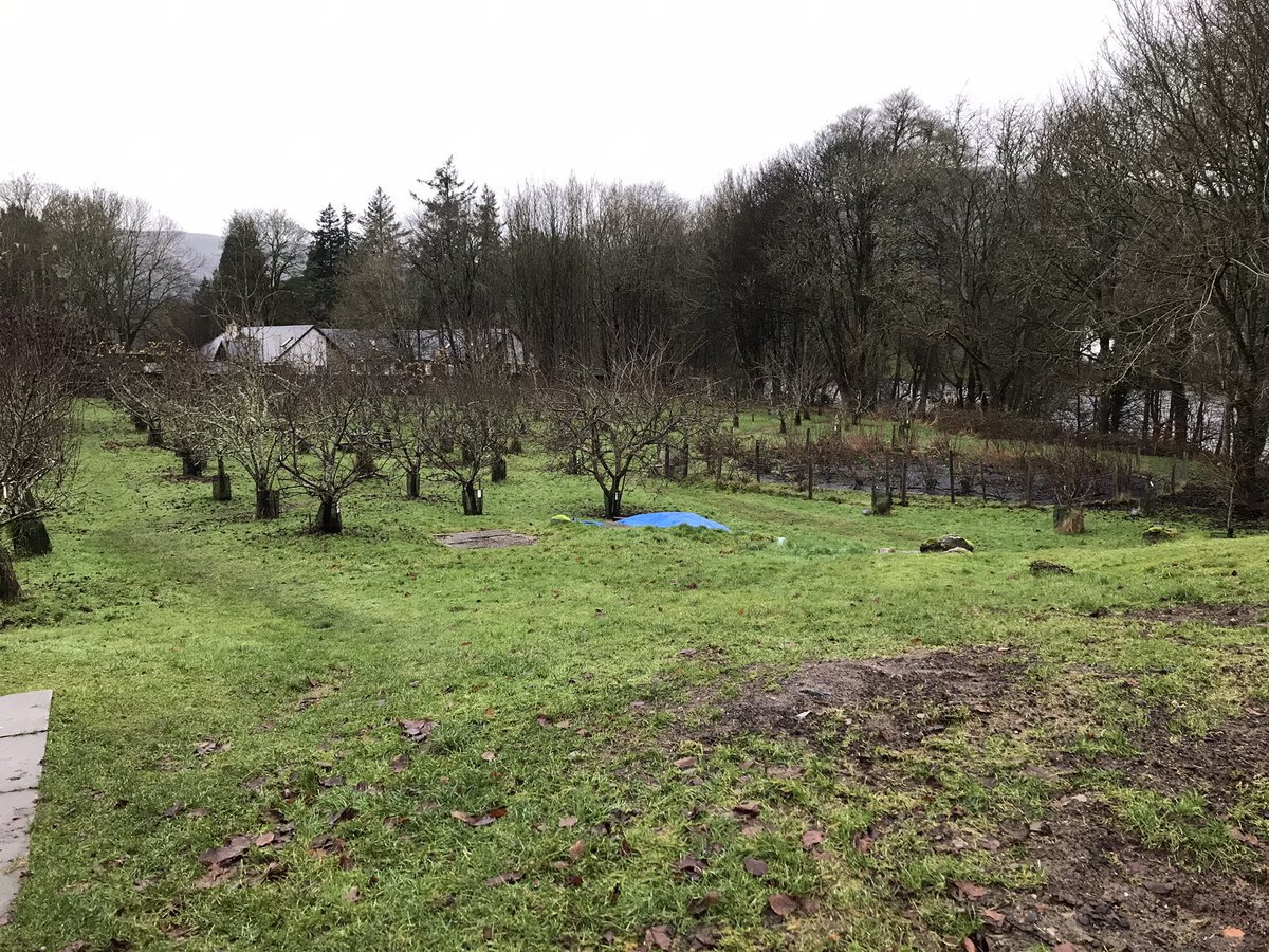 I spotted a community orchard in Dunkeld. This made me happy 