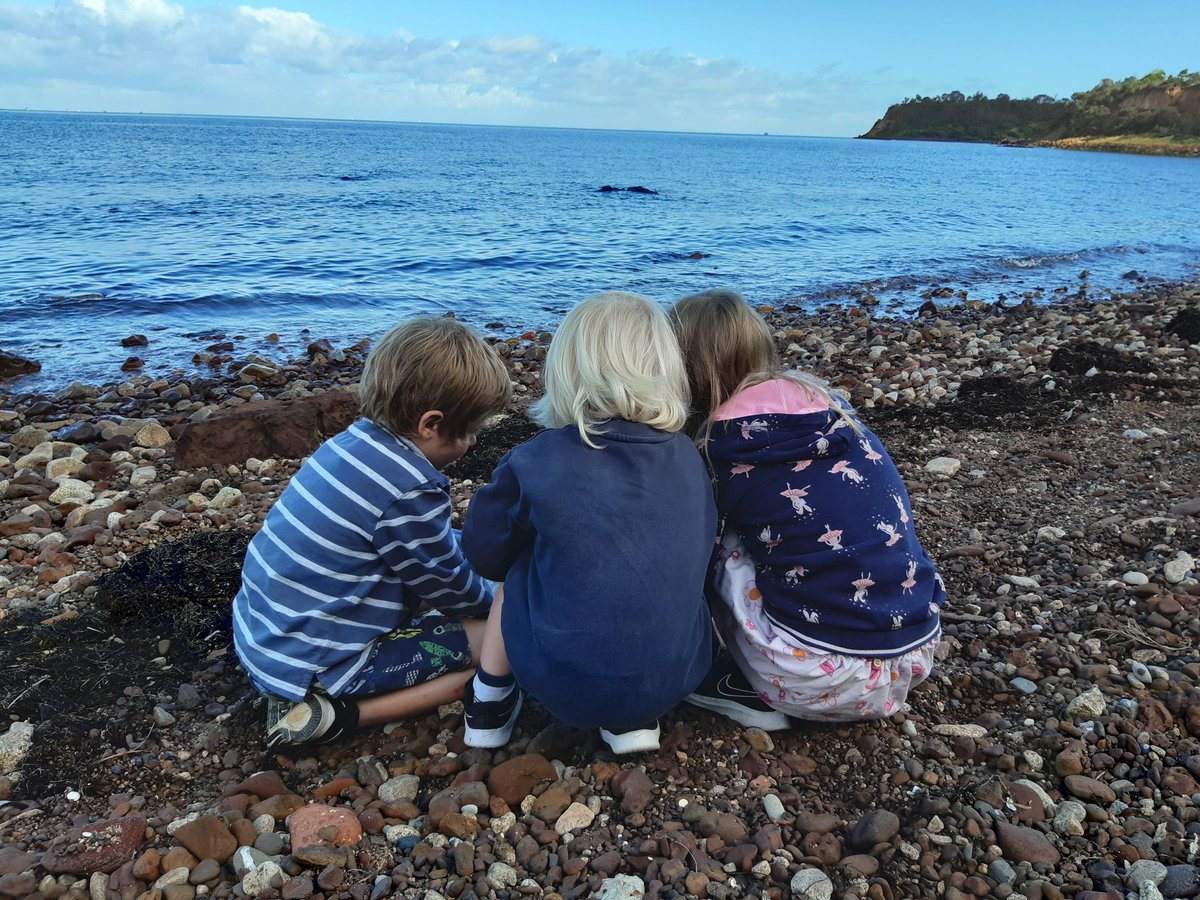 AJMandemaker's tweet photo. Fossil hunting https://t.co/6iI6PKpmj9