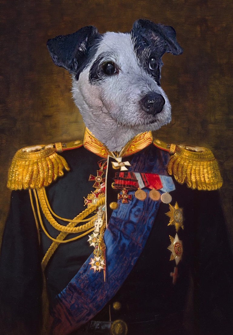 Buddy in an Admiral outfit. <a href="/RoyalCatsDogs/">Royal Cats & Dogs</a>  <a href="/TheGoodDogGuide/">The Good Dog Guide</a>  #petsbiz #dog #dogs #pets #instadog #instadogs #ilovemydog #cat #cats_of_instagram #catoftheday #london #prettycat #gift #dogartist #therapydog #NHSthankyou #stayhomesavelives #healthathome