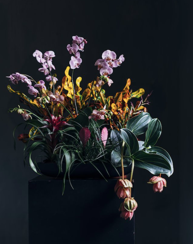 De kerstperiode is aangebroken! Hebben jullie wel eens aan een plantenboeket gedacht? Het is de combinatie van verschillende plantstructuren, diepte- en hoogteverschillen en kleuren. #vandijkflora #openuptogrow #kerst