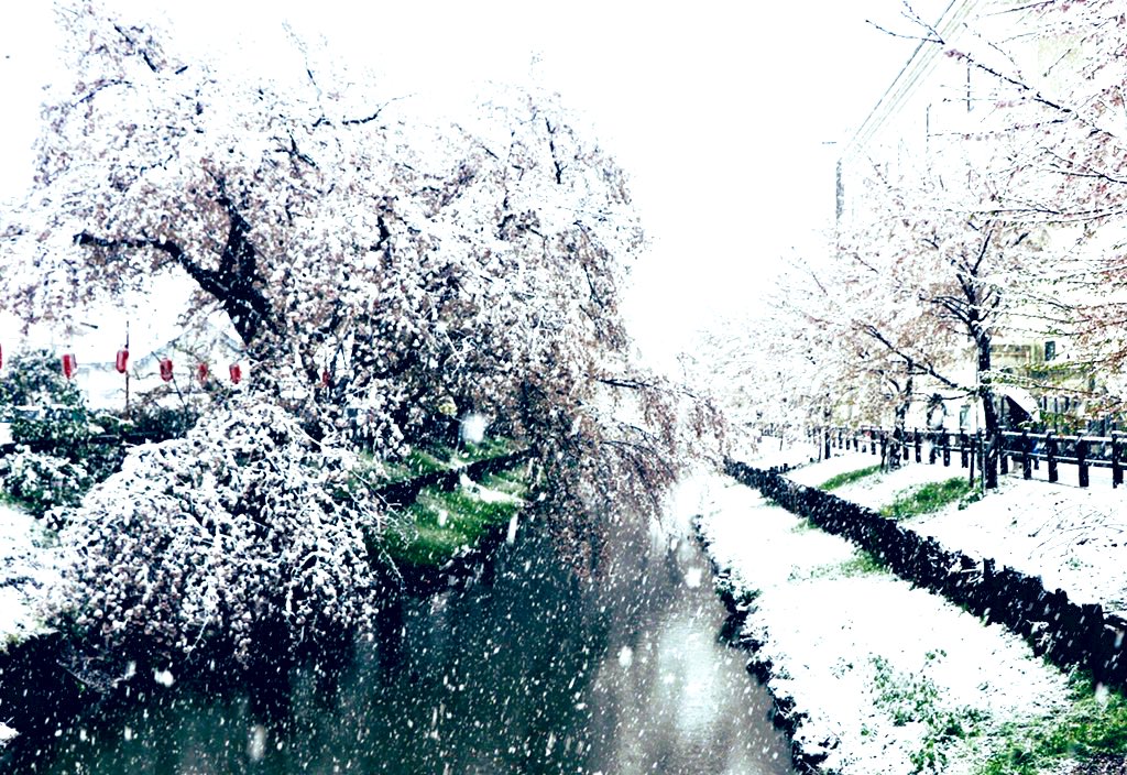 我が街の雪景色

今年春の写真です