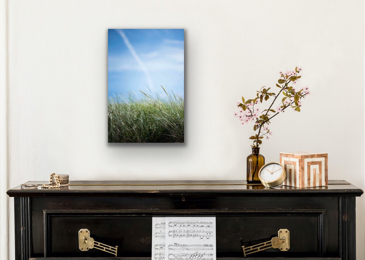 PoppyFieldPhoto's tweet photo. Today is the last day for postage before #Christmas within the #UK from our #Etsy store! [link below]

*North #Devon Customers Only* You can continue to contact us directly for free delivery within North Devon right up until Christmas Eve

https://t.co/H9vLMGGUIN https://t.co/qnHzjtfzgI