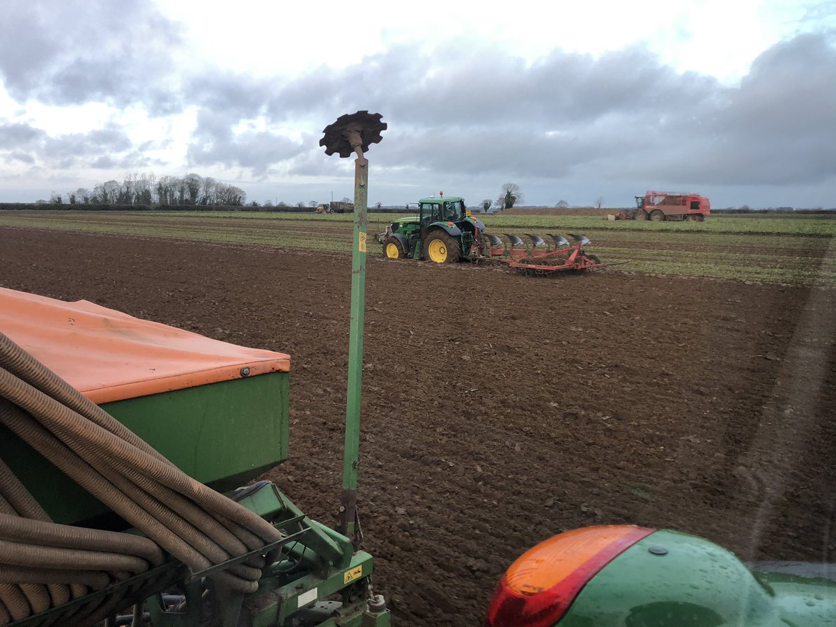 Beet to wheat in about 30 minutes 👍