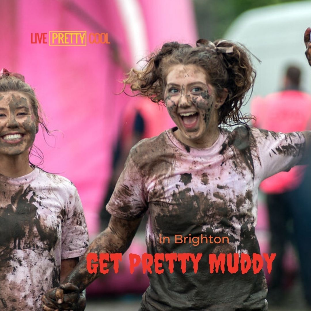 Pretty Cool Things to Do in Brighton tweet media