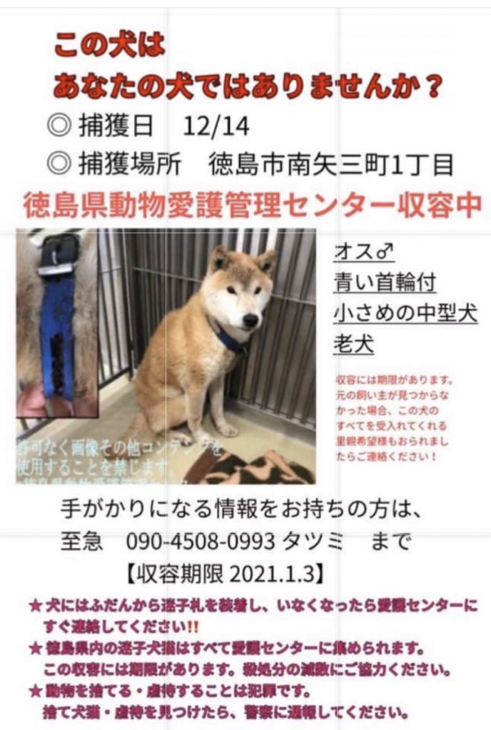 タコちゃん V Twitter 徳島県動物愛護管理センター 収容期限1月1日 お迎え無い場合 里親様になってもらえませんか 南矢三町 迷子犬 迷子犬情報 迷子札 迷子犬の掲示板 迷子犬保護 迷い犬 迷い犬保護中 迷い犬情報 犬探してます 徳島県迷子犬 里親 タコちゃん V Twitter 徳島県動物愛護管理センター 収容期限1月1日 お迎え無い場合 里親様になってもらえませんか 南矢三町 迷子犬 迷子犬情報 迷子札 迷子犬の掲示板 迷子犬保護 迷い犬 迷い犬保護中 迷い犬情報 犬探してます 徳島県迷子犬 里親