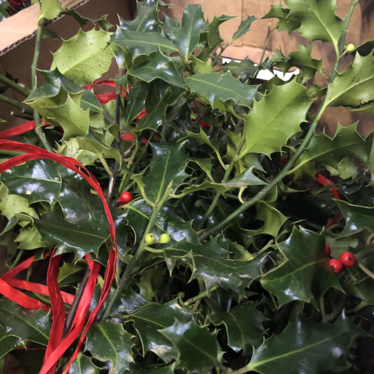 Christmas is coming and we’re all ready here at Ribble Farm Fare - here’s some lovely mistletoe and holly that went out this morning.