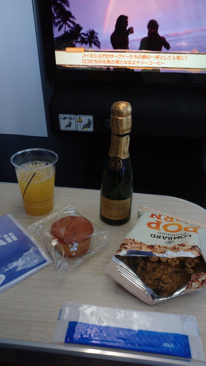 ANASFC787's tweet photo. 乗れましたぁぁぁぁ！（機内Wi-Fiより）
めちゃくちゃ幸せです！
ANAさん！ホヌさん！全てのみなさんありがとうございます‼️ https://t.co/ww1Sc0ljKp