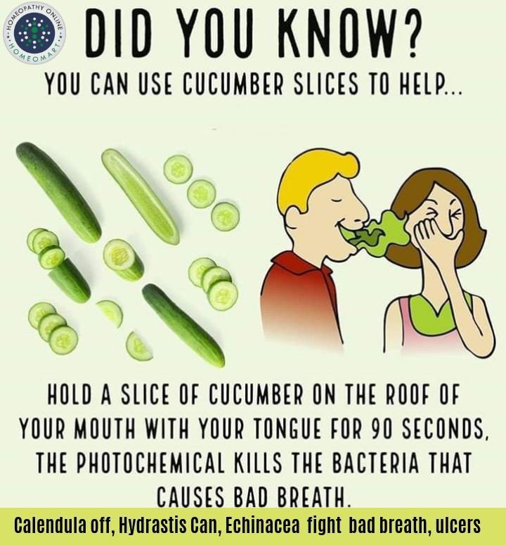 AECRES_249's tweet photo. NATURAL BACTERIA REPELLENT. 🥒>

#didyouknow #funfact #agriculture #organic #organiclofestyle #farmtomouth #cucumbers #healthtips #healthyliving #hygiene https://t.co/DrYgr3NM49