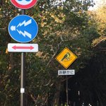 どっちなの？難易度高め道路。静かにしながらクラクションを鳴らさないといけない