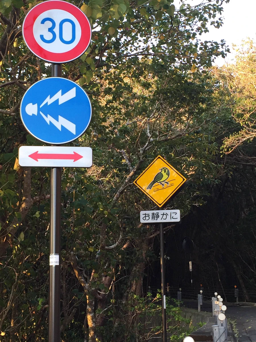 どっちなの？難易度高め道路。静かにしながらクラクションを鳴らさないといけない