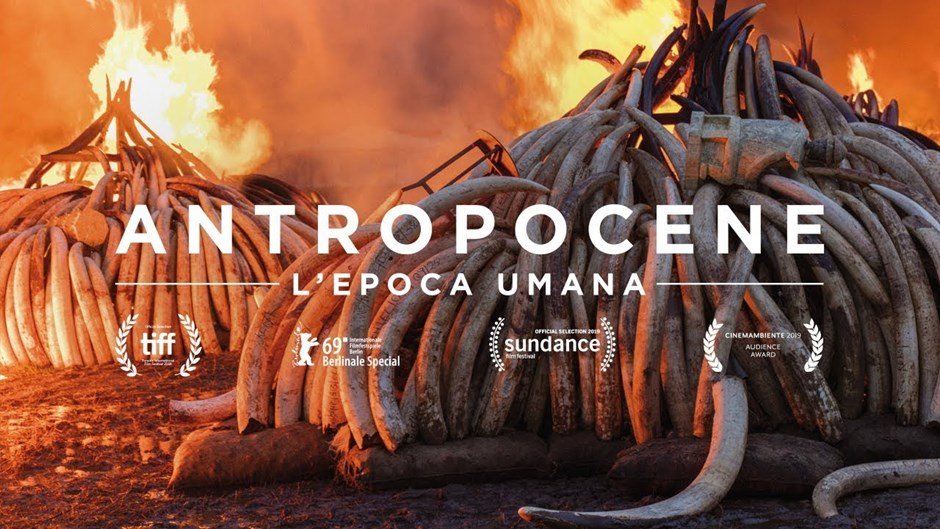 Sereno_Regis's tweet photo. 🌈 [SerenoRegis_News 2020/58] #StopArmiEgitto, #dirittiumani #antropocene #transizione ecologica, stampa spazzatura e #radicalizzazione l'anno del #covid19 #Egitto #NonviolentPeaceforce #salute e #migrazioni - https://t.co/HbADp62aFw https://t.co/u3Q9EmdnCK