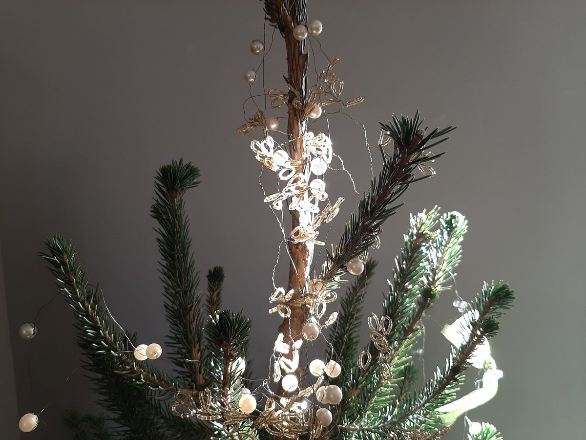 janien's tweet image. under construction #picea #christmas2020