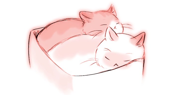 ダンボールみっちり……
さっきまでバトルしてたのに なかよしさんめ 