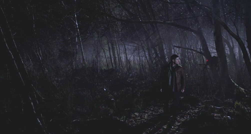 Dean Winchester/Jensen Ackles as puppies. The thread.