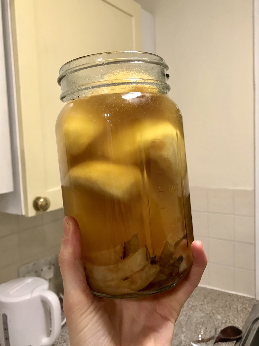 isadesisto's tweet photo. #GCABO may be over, but my Central Asian cooking adventures continue: mushroom and beef khinkali with “Laza Hot Sauce,” preserved lemon and rocket salad, 2 cocktails (“Chingiz’s Apple Vanilla Vodka” and “Tashkent Fever”), and chocolate-covered prunes for dessert. https://t.co/xE5lc0WOKy