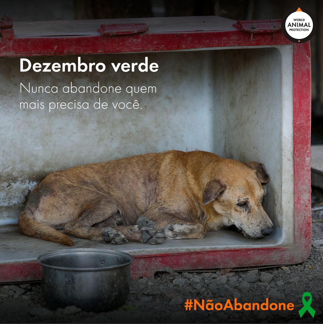 ProtecaoAnimal's tweet photo. 👉👉 Para combater essa crueldade, SEMPRE DENUNCIE os maus-tratos. 💪⁣⁣⁣⁣⁣⁣⁣⁣⁣⁣⁣⁣

#DezembroVerde https://t.co/aV5OYzE5wc