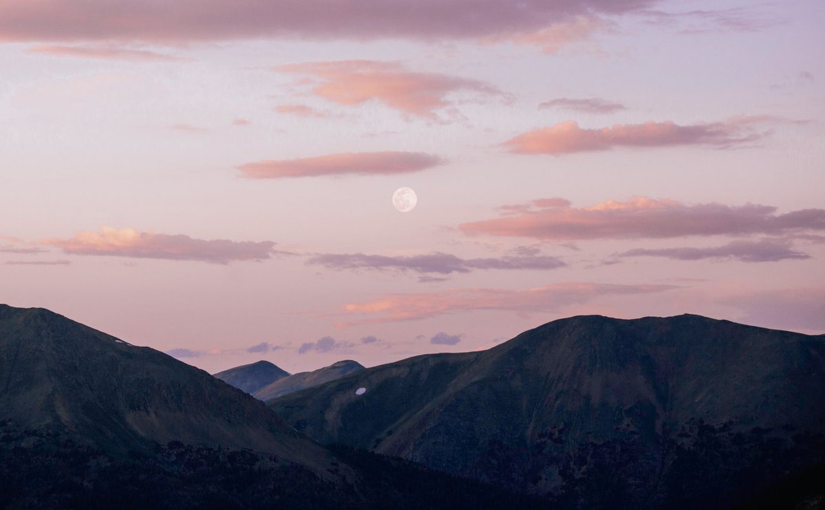 emilyshoots's tweet photo. hold my hand. let’s stare at the moon. https://t.co/OQsIKOqNfn