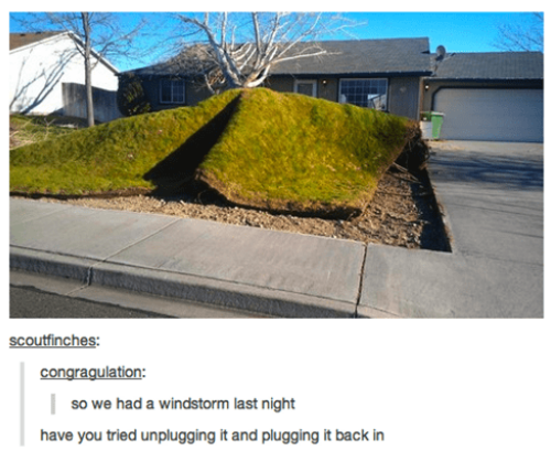 LandscapingCo1's tweet photo. I found this and honestly couldn't stop laughing! #meme​ #landscapingmeme ​#landscaping ​#localbusiness https://t.co/TqnKAm53xd