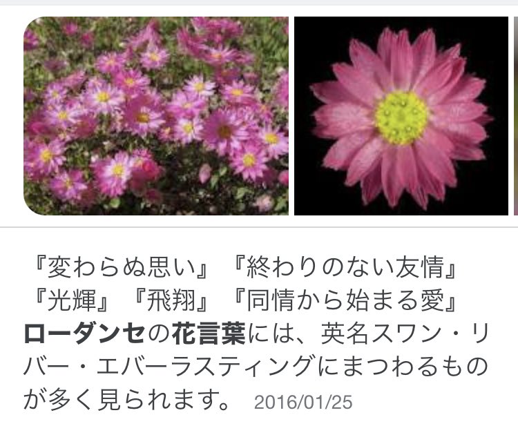 とい Sur Twitter 黄色いガーベラ 愛は愛でも 究極の愛 って花言葉なの震えてる 高咲 お前はそれを分かった上であのステージを 歩夢のイメージ として作り上げたんか それに対する返答が 変わらぬ想い って高咲お前ほんとうにおまえはなんなんだ 虹ヶ咲