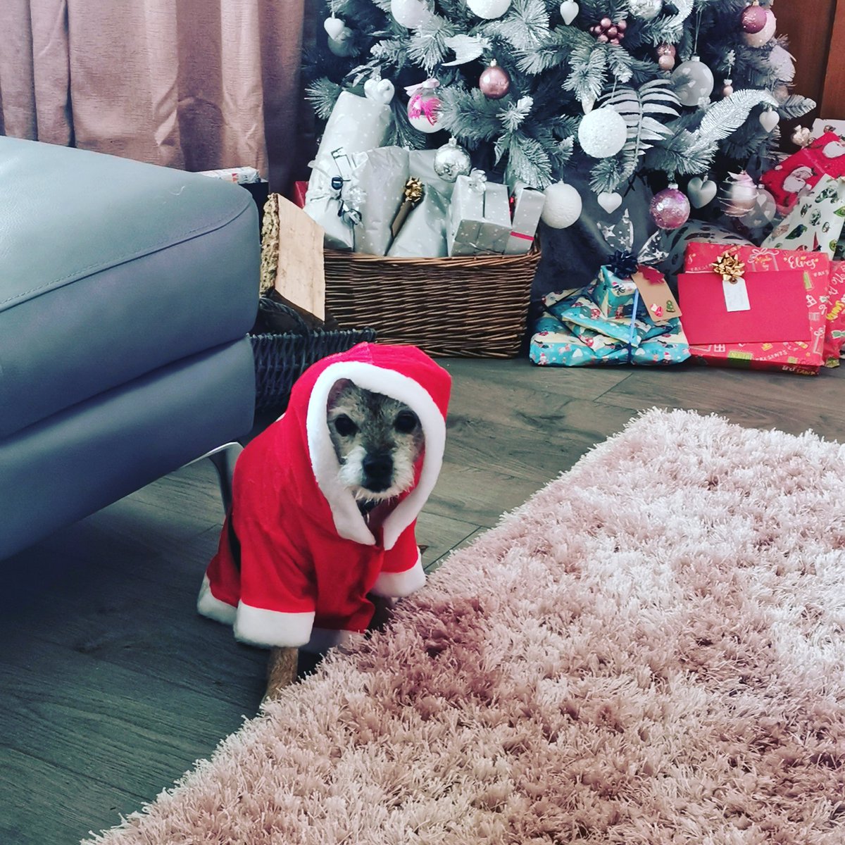 Exhausted with fatigue and bone pain, is your jaw meant to hurt ☹️🤔It's a home alone sofa day with the McAllisters #homealone #rufus