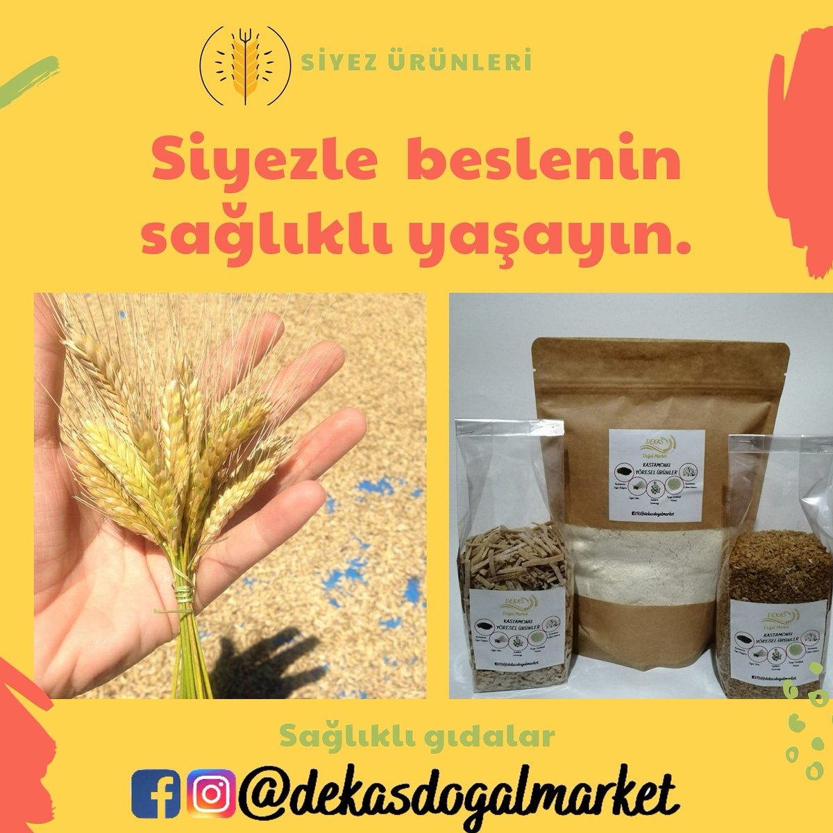 Tarihteki ilk ekili tahıllar grubunda yer alan siyez buğdayının geçmişi 12 bin yıl öncesine dayanıyor. O zamandan bu zamana dünyada her şey değişirken siyez buğdayının genetiği hiçbir şekilde değişime uğramamıştır.