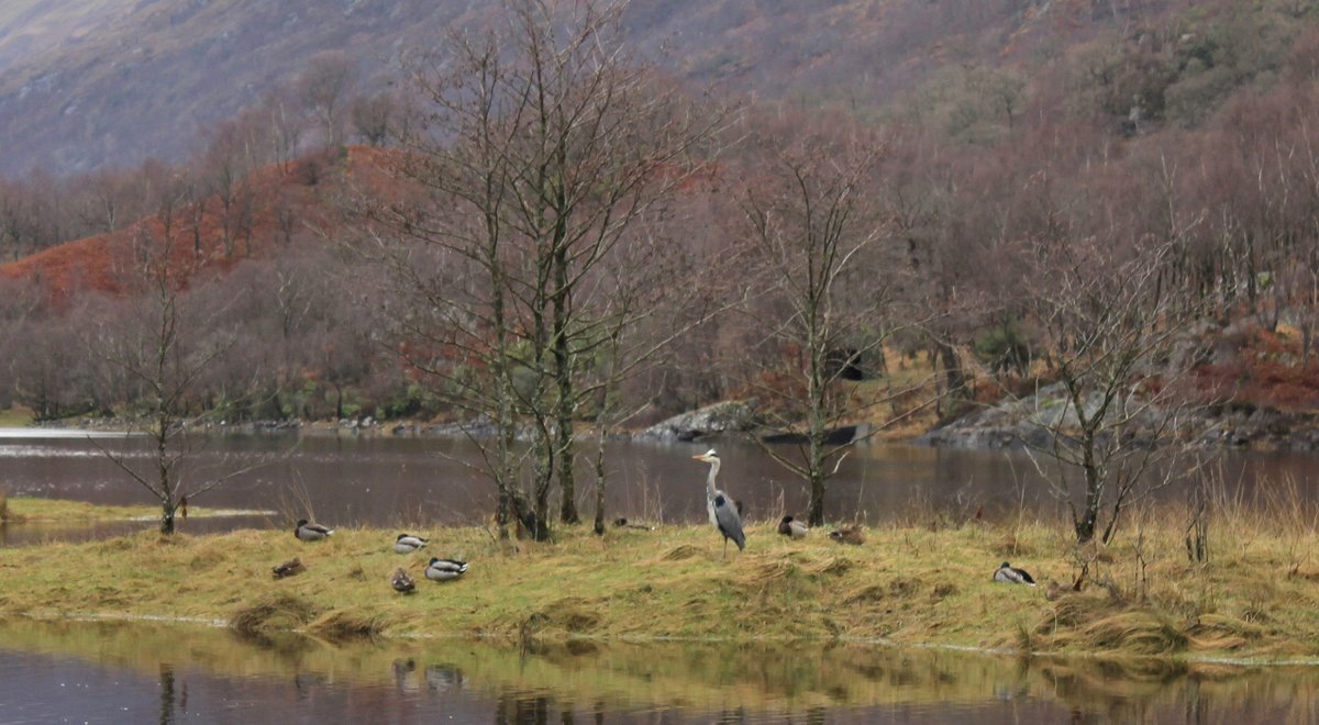 David Hunter tweet media