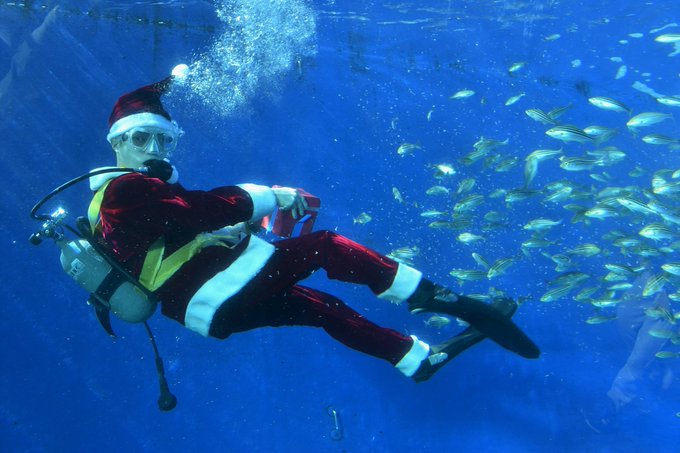 ダイバーのtwitterイラスト検索結果