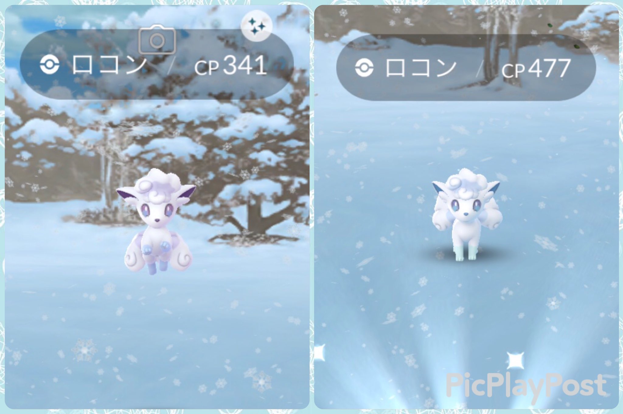 ツキネコ 色違い気がつかなかった アロロコ どっちも可愛い ポケモンgo アローラロコン色違い T Co Omiuxxjped Twitter