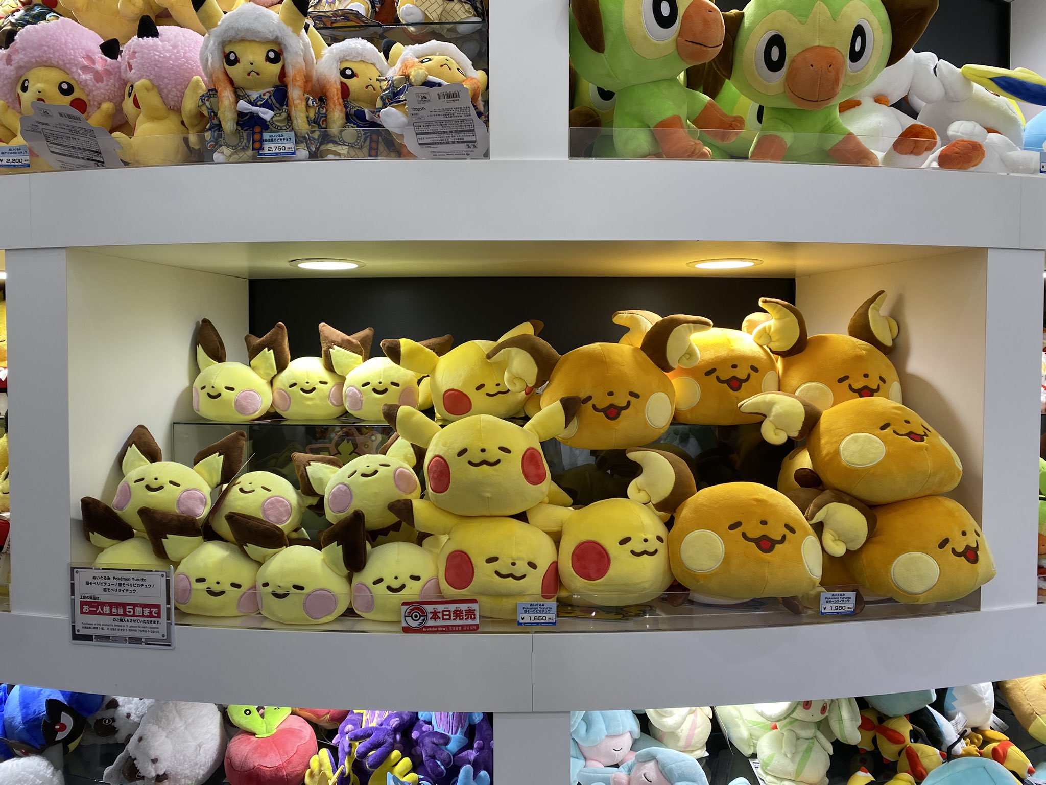 抱きクッション Pokémon Yurutto キテルグマ 当社の おもちゃ・ホビー
