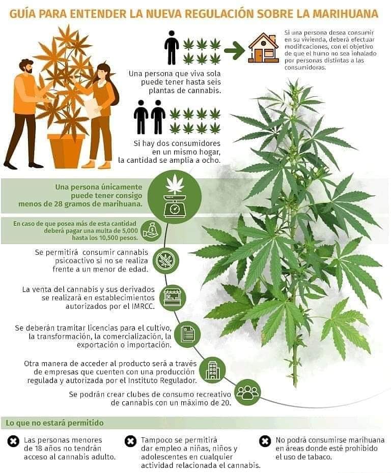 aceiteesencia's tweet image. Lo que ofrece la tierra/naturaleza nunca debe de estar prohibido CANNABIS LEGAL YA
 #recetasaceitesesenciales #chef #chefmaster #masterchef #cocina #recetasdecocina #masterchefjunior #masterchefcelebrity
#terapiasnaturales #terapiasnepeta #bienestarysalud #saludable #relax