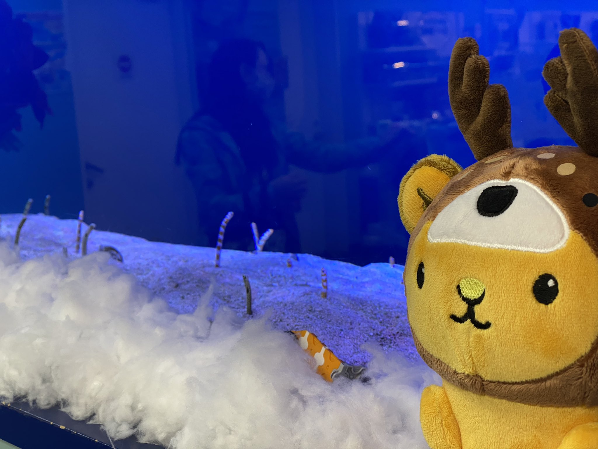 居酒屋ちょんちょん Twitter Search Twitter