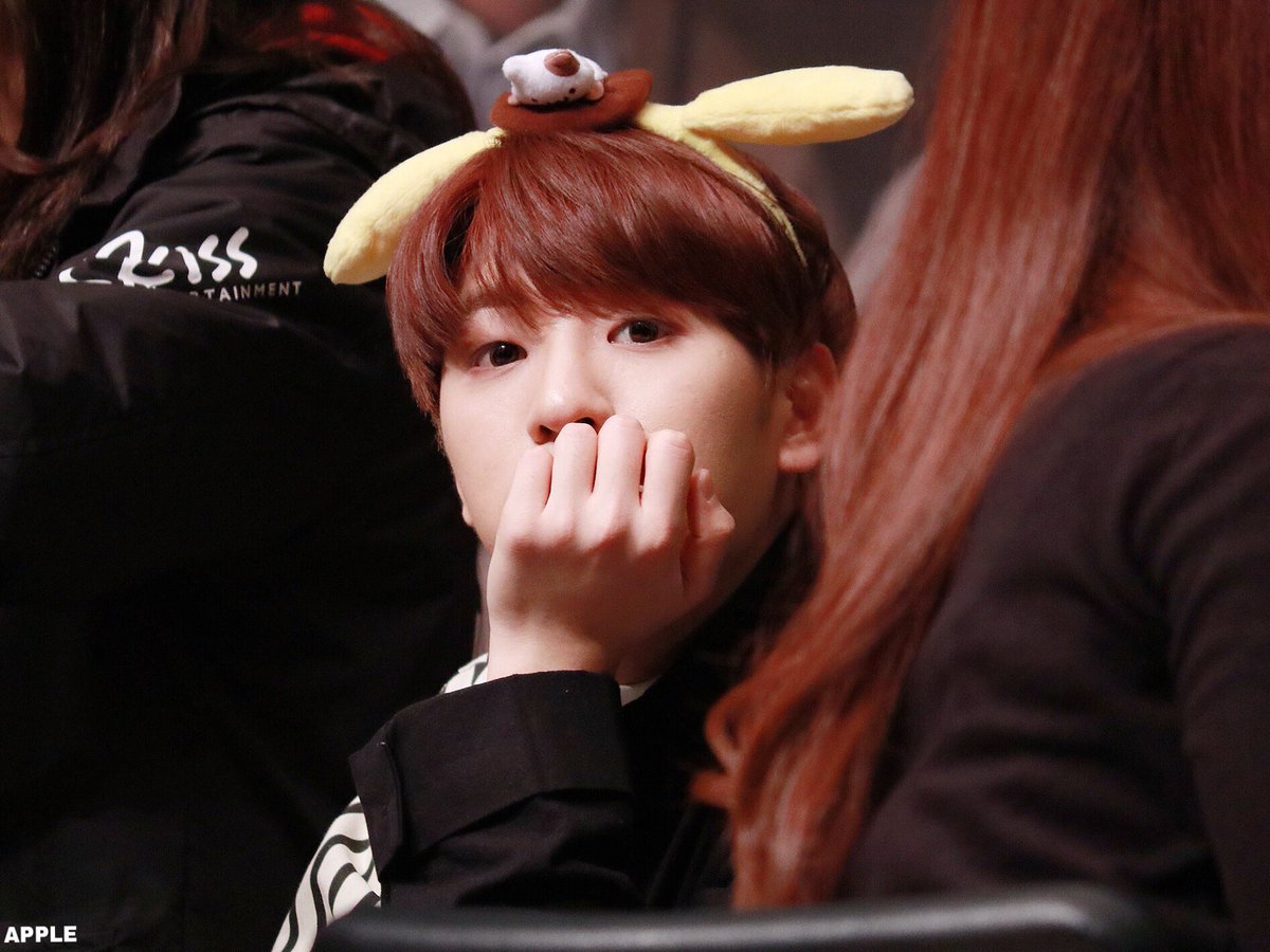 AppleMinWoo's tweet photo. ☆｡*･:+*ﾟ  ♡  ﾟ*+:･*｡☆
　　　♥931220♥
　Ｈ┃Ａ┃Ｐ┃Ｐ┃Ｙ┃
　━┛━┛━┛━┛━┛
　Ｂ┃Ｉ┃Ｒ┃Ｔ┃Ｈ┃
　━┛━┛━┛━┛━┛
　　　Ｄ┃Ａ┃Ｙ┃
　　　━┛━┛━┛
혁둥 생일 축하해🧡
☆｡*･:+*ﾟ  ♡  ﾟ*+:･*｡☆
#HAPPYHYUKJINDAY
#백퍼센트 #혁진 @100per_hyukjin https://t.co/b1rWpxDhyL