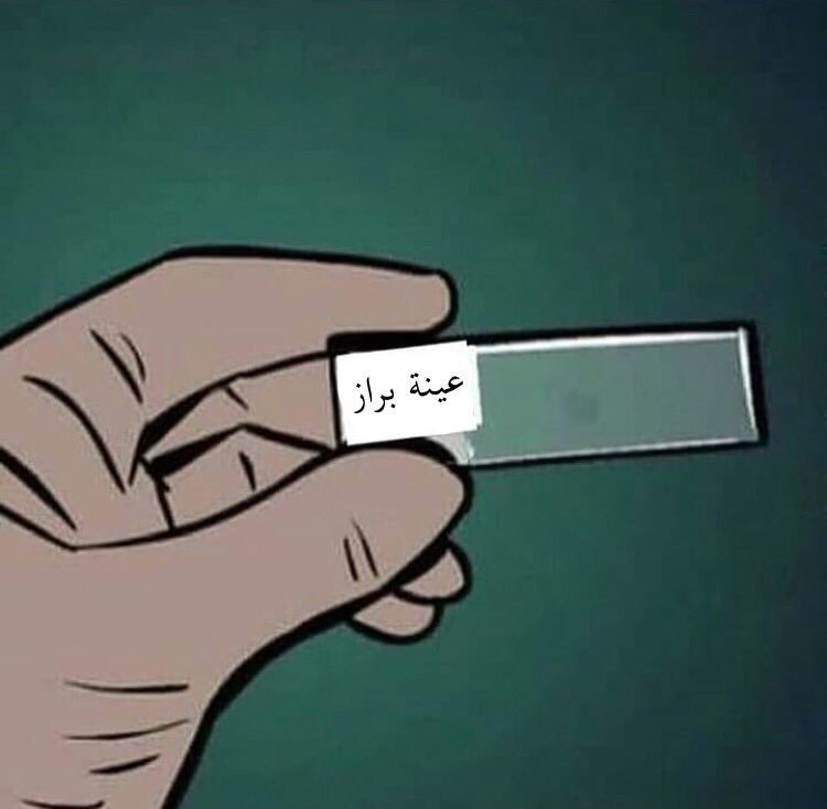 iTsAnToOnY's tweet image. 