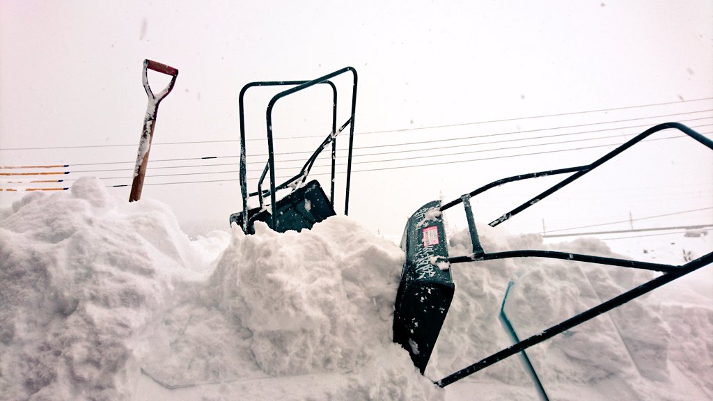 446ike's tweet photo. #新潟 #南魚沼市
大雪、除雪の災害救援。
しんしんと雪が降り続く中で、���根の雪降ろし。

「この作業を毎日一人では…大変ですよね…」地元住人の方にそう話すと、「うん、だから酒飲みながらやるんさ！」と。

う～ん、雪国。 https://t.co/7Gvab9Lk4c