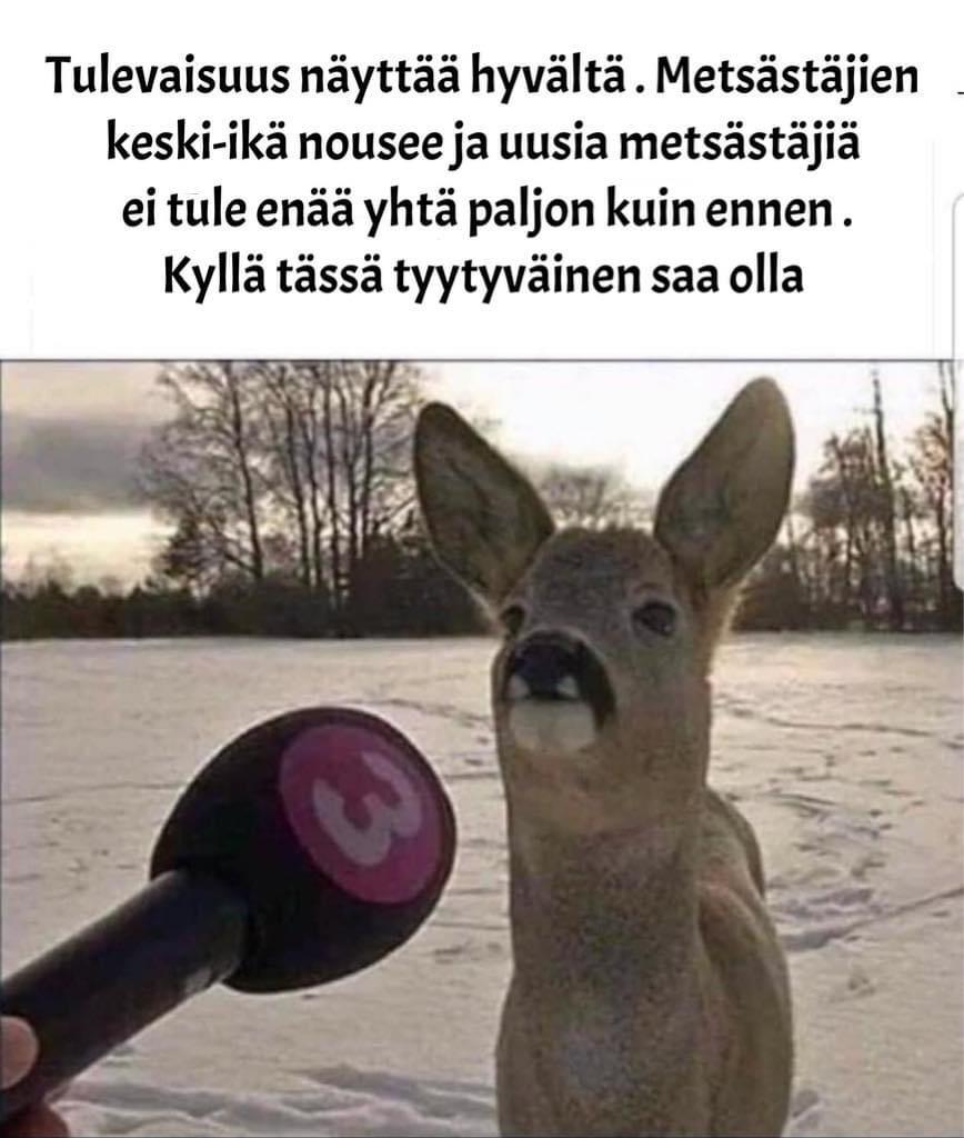 Mira Piispa tweet media