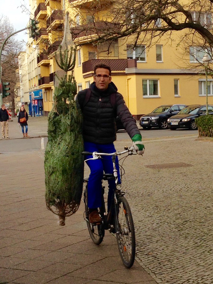 Tannenbaum 
mit dem Fahrrad transportieren?

Geht! Was habt Ihr für Beweisfotos?