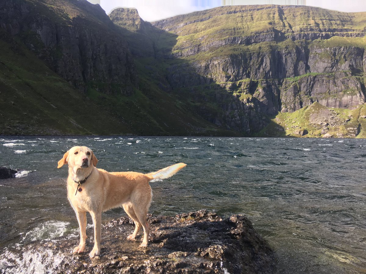 #9 Living back in the countryside after 22 years. What a joy it is to experience autumn & winter in Waterford again. It is such a beautiful county. I feel incredibly lucky to be here. What’s your favourite place in Waterford?  @WaterfordGreens  @waterfordcrafts  @WaterfordGrnWay