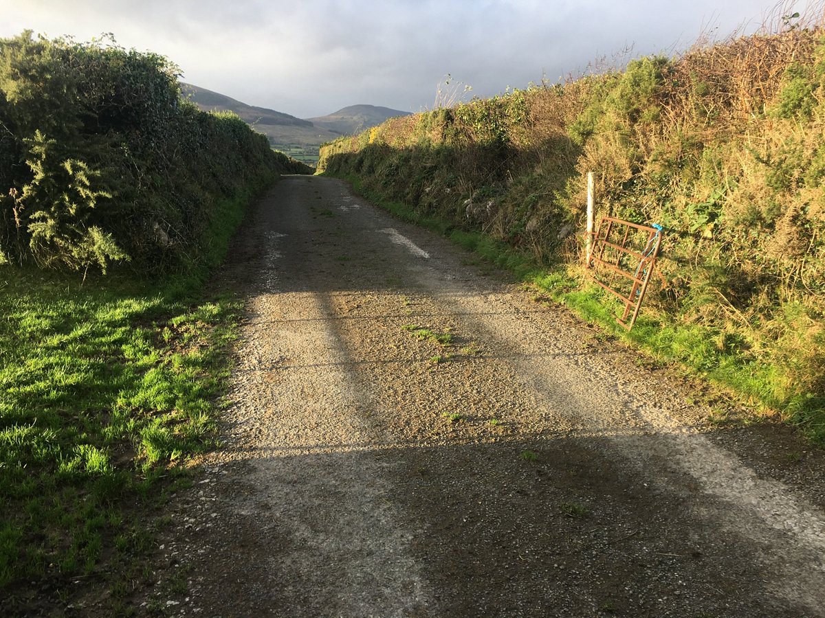 #9 Living back in the countryside after 22 years. What a joy it is to experience autumn & winter in Waterford again. It is such a beautiful county. I feel incredibly lucky to be here. What’s your favourite place in Waterford?  @WaterfordGreens  @waterfordcrafts  @WaterfordGrnWay