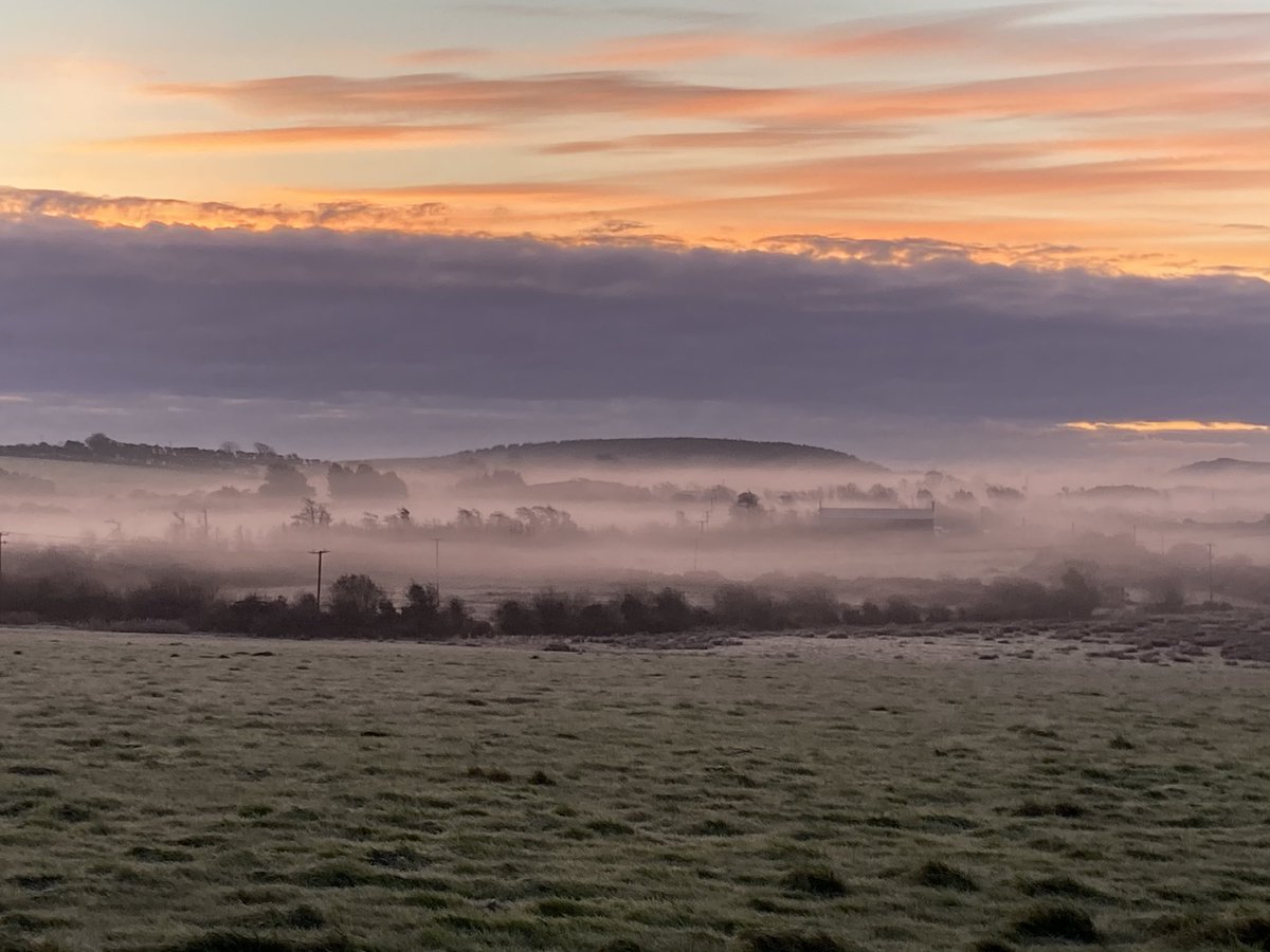 #9 Living back in the countryside after 22 years. What a joy it is to experience autumn & winter in Waterford again. It is such a beautiful county. I feel incredibly lucky to be here. What’s your favourite place in Waterford?  @WaterfordGreens  @waterfordcrafts  @WaterfordGrnWay