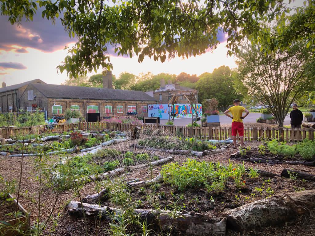 Despite the , 2020 has been a jam packed year full of nature themed highlights. #1 We created an awesome herb garden  @clitterhouse that was a salve for the senses on a daily walk during lockdown. Have you any horticultural projects lined up for 2021?  @LondonNpcs  @ThriveLDN
