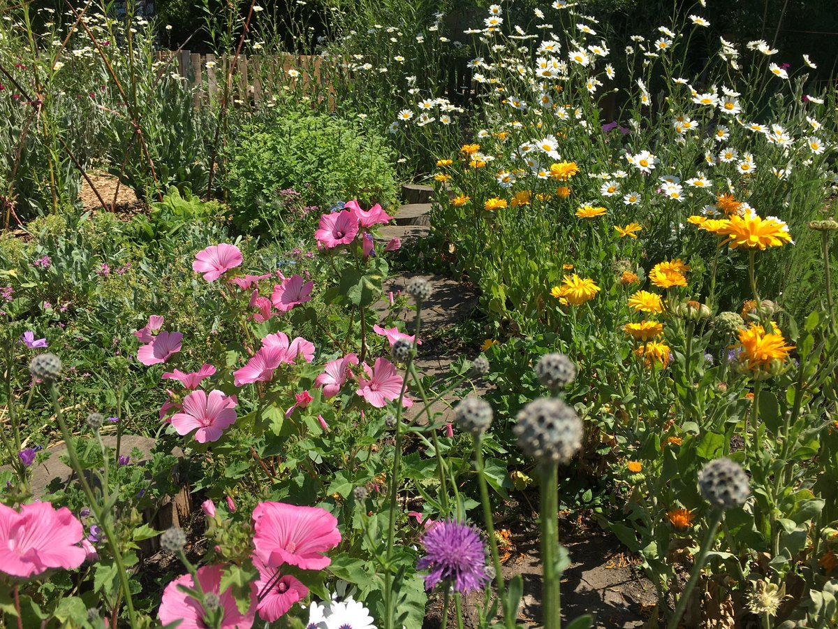 Despite the , 2020 has been a jam packed year full of nature themed highlights. #1 We created an awesome herb garden  @clitterhouse that was a salve for the senses on a daily walk during lockdown. Have you any horticultural projects lined up for 2021?  @LondonNpcs  @ThriveLDN