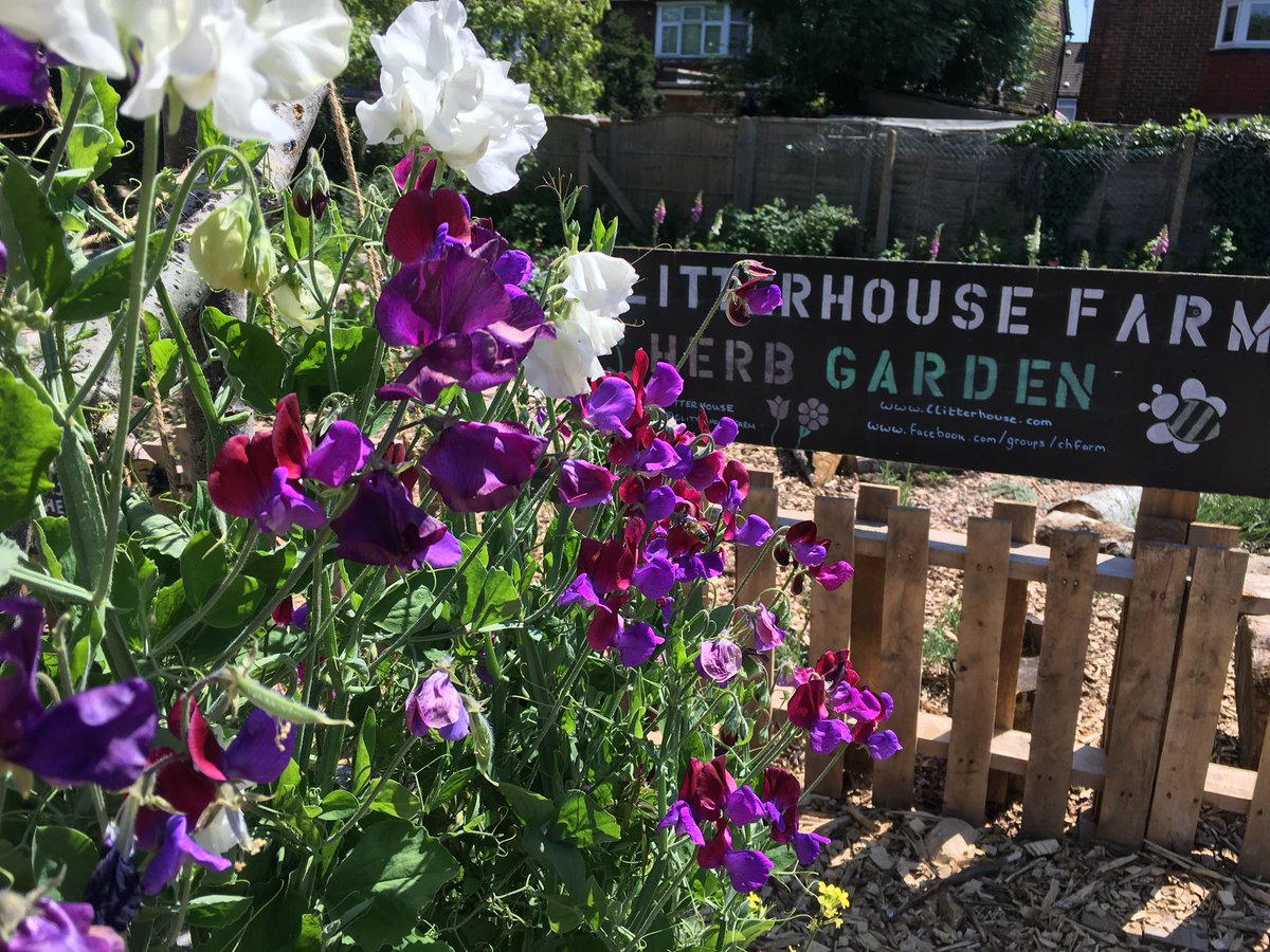 Despite the , 2020 has been a jam packed year full of nature themed highlights. #1 We created an awesome herb garden  @clitterhouse that was a salve for the senses on a daily walk during lockdown. Have you any horticultural projects lined up for 2021?  @LondonNpcs  @ThriveLDN