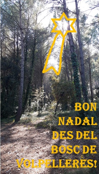 BoscSos's tweet photo. Bon Nadal des del Bosc de @Volpelleres! #MoltsMesNadalsAlBoscDeVolpelleres #elboscesqueda #SosBoscVolpelleres @BoscSos https://t.co/QFd85rPCdH