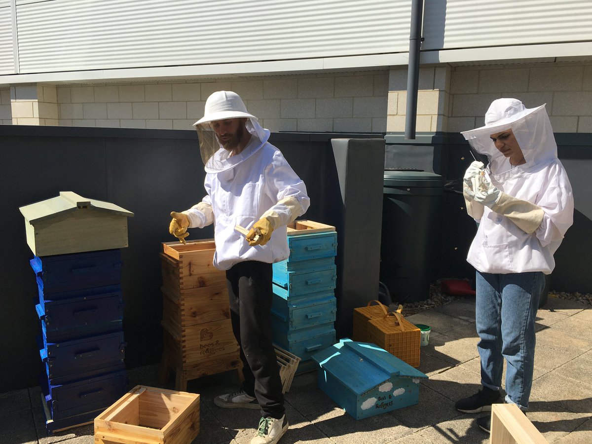#5 I learned a lot about  s. Ali from  @RefugeesBees installed 3 beehives in my school  @HammersmithAcad & gave us an education on ethical honey. What a gift! My wonderful neighbour also installed a beehive in our garden. Are you tempted to get bees for your school in 2021?