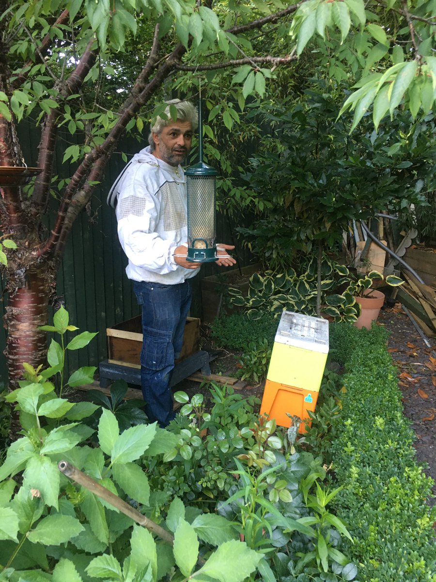 #5 I learned a lot about  s. Ali from  @RefugeesBees installed 3 beehives in my school  @HammersmithAcad & gave us an education on ethical honey. What a gift! My wonderful neighbour also installed a beehive in our garden. Are you tempted to get bees for your school in 2021?
