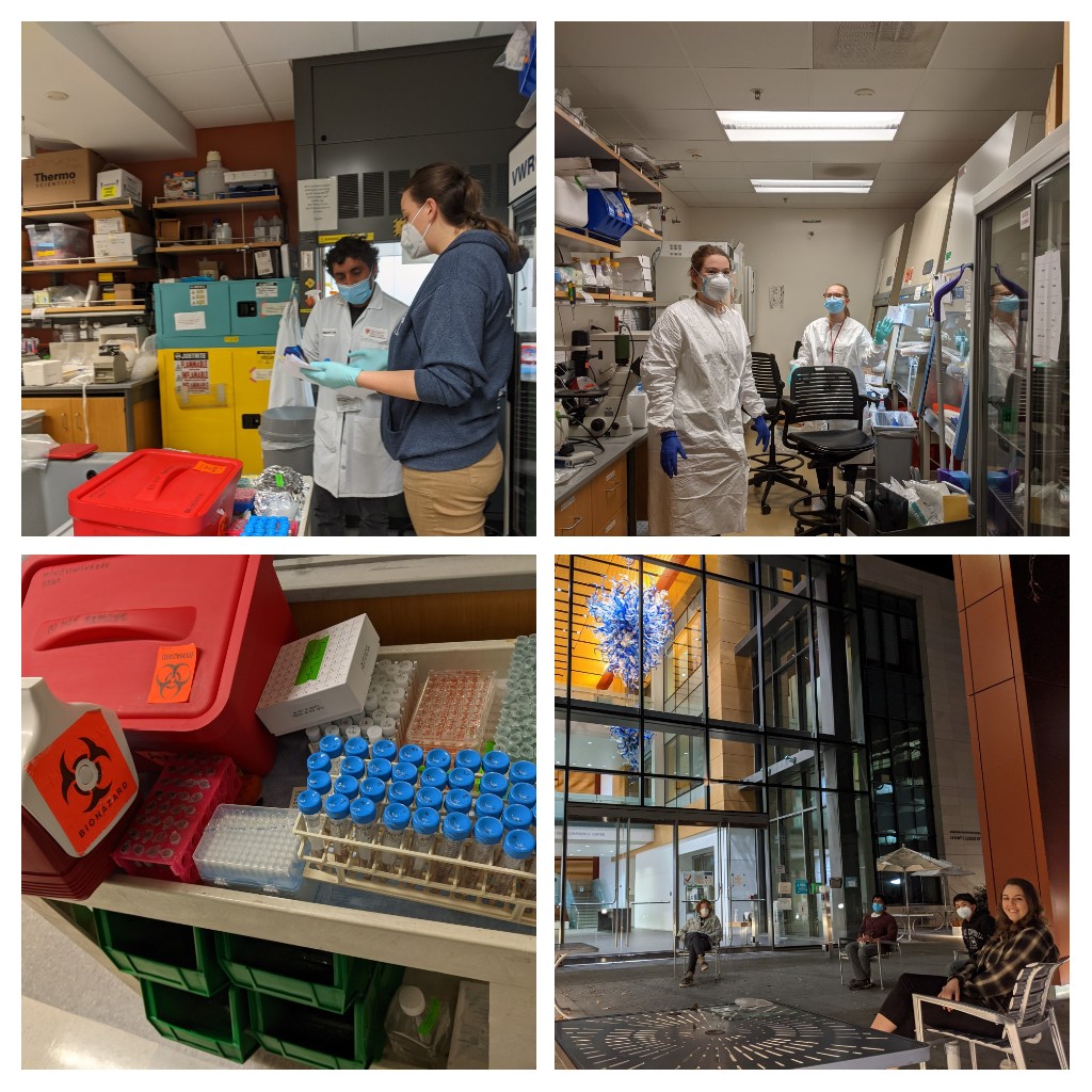 Michal Tal, PhD tweet media