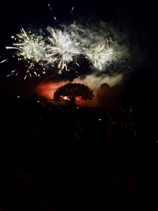 lightcolorgames's tweet photo. Day 19 - Darkness
Stars can‘t shine without darkness.
#dunkelheit #darkness #firework #tree #sparkle #sparkleandshine https://t.co/rGOfOUF9GD