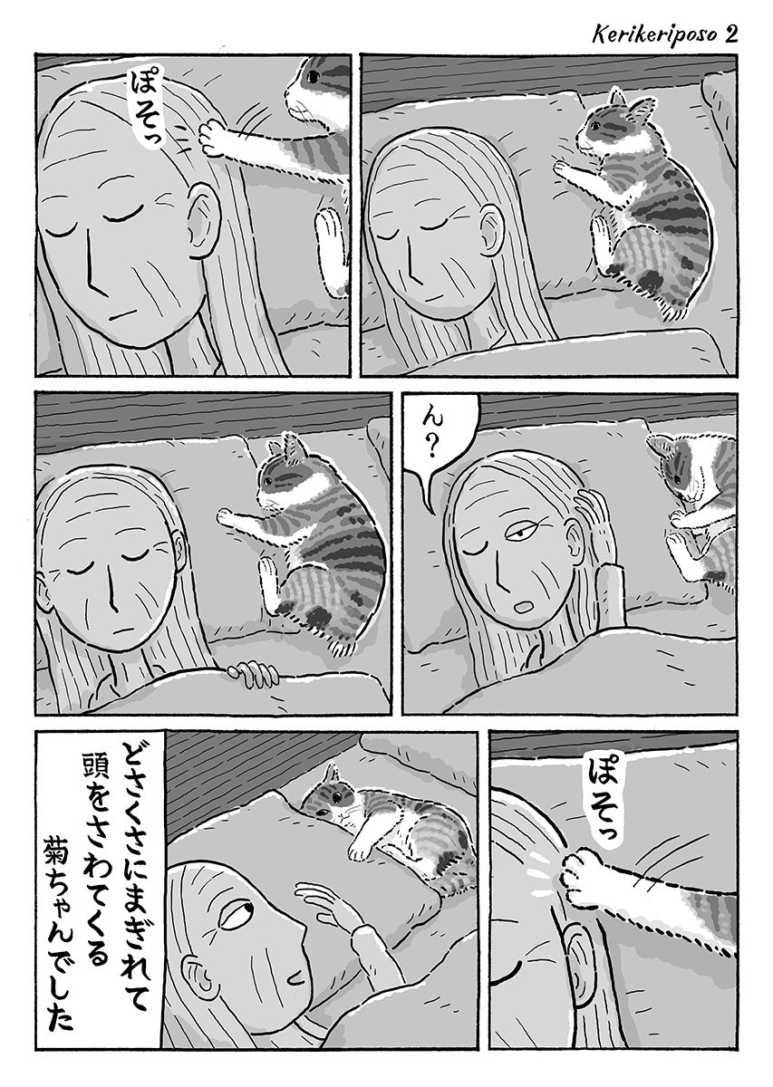 2ページ猫漫画「けりけりぽそっ」 #猫の菊ちゃん 