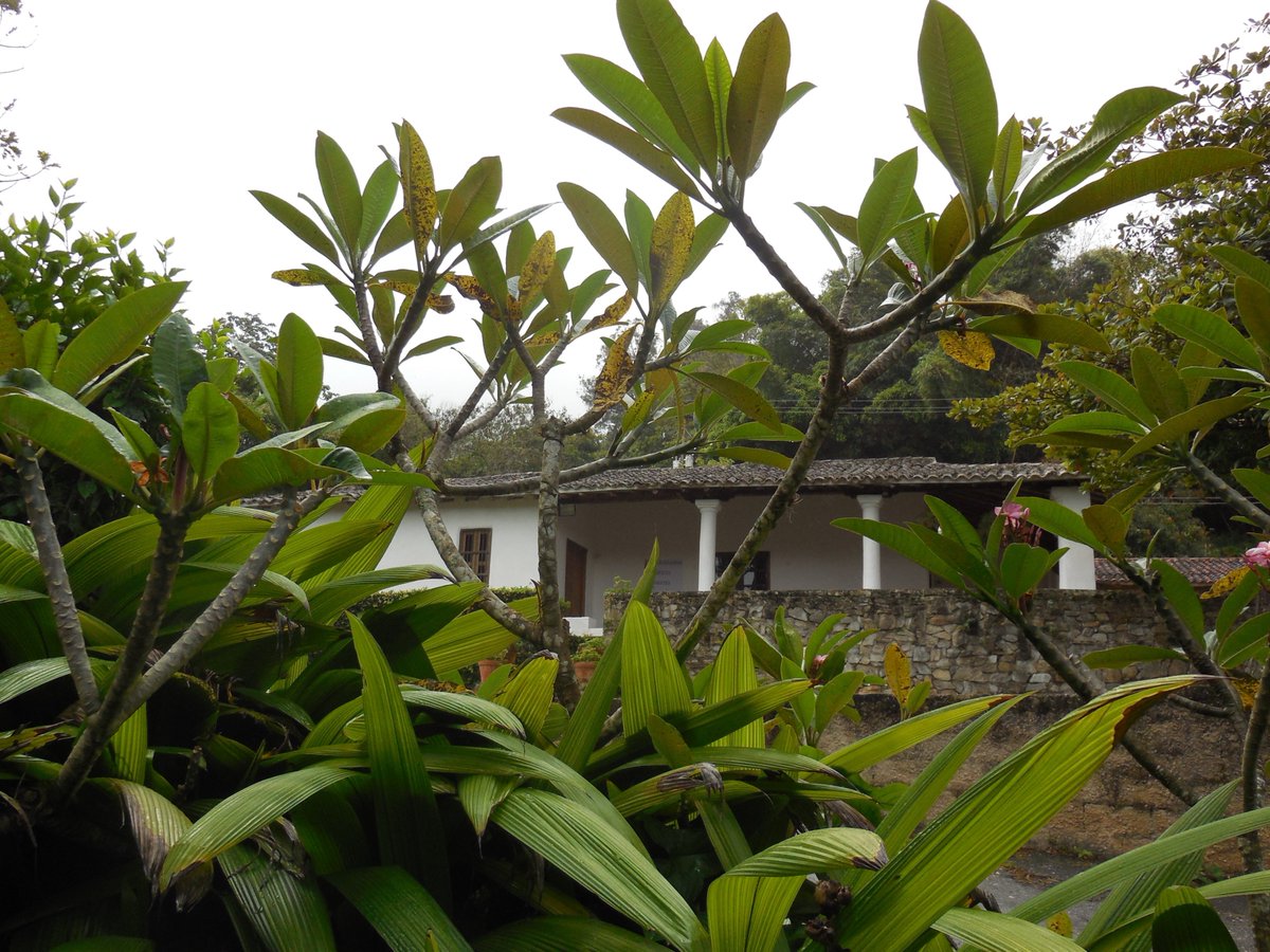 AntonuccioSanoP's tweet photo. Fotografía de Pedro Antonuccio Sanó #landscape #haciendalatrinidad #parquecultural #caracas #venezuela 2019 #Patrimoniocultural #photography #Picoftheday #photo #photoftheday #pedroantonucciosanó #fotoantonuccio #wonderful_places #instaaddict #paisajes #panoramic #photoshoot https://t.co/JYXmlouiJL