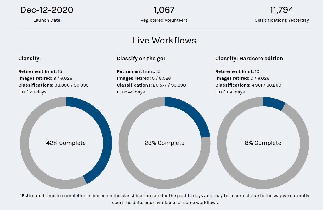 Space Fluff tweet media